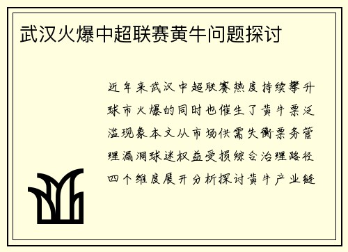 武汉火爆中超联赛黄牛问题探讨