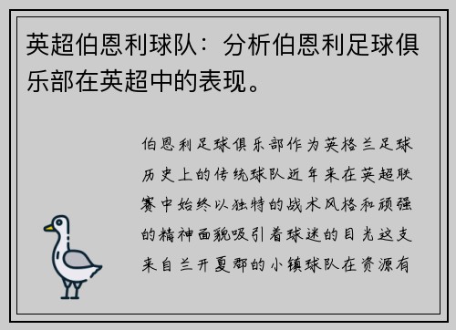 英超伯恩利球队：分析伯恩利足球俱乐部在英超中的表现。