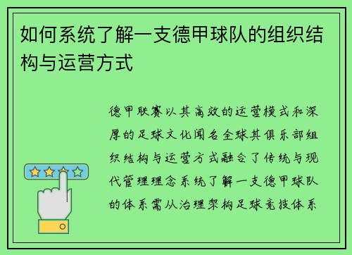 如何系统了解一支德甲球队的组织结构与运营方式